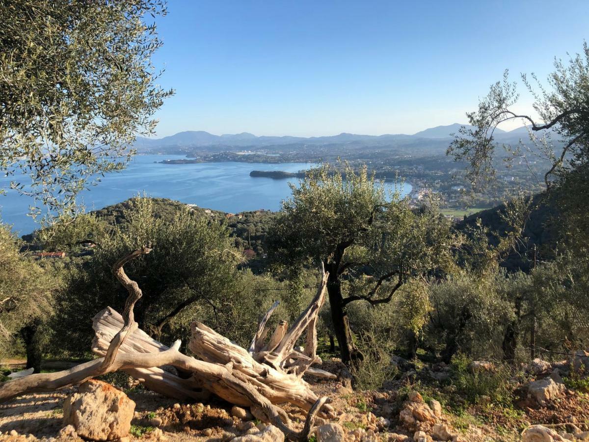 House Tanna Of Villa Intaba Spectacular Sea Views Corfiot Riviera Spartilas Corfu Island Greece Close To Ipsos Beach Spartylas エクステリア 写真